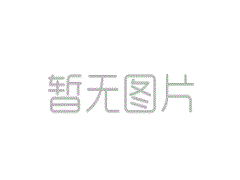PA66/日本旭化成/1300S